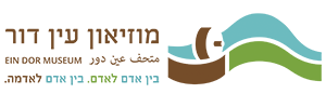 מוזיאון עין דור