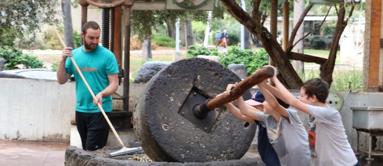 מהזית אל שמן הזית